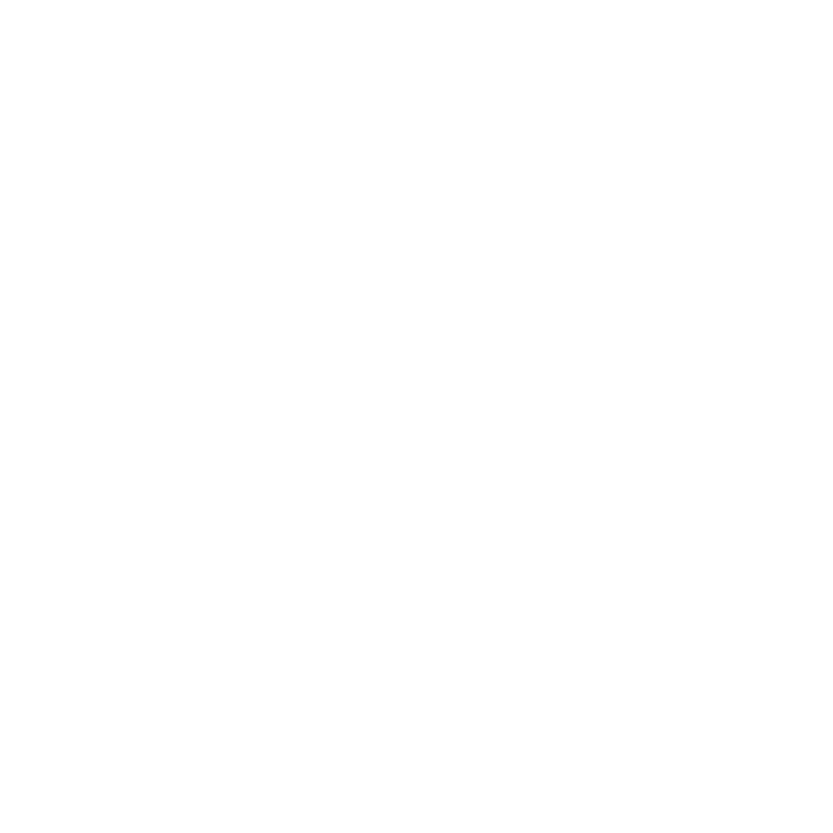 CMG_Web_Icons_Experience-2