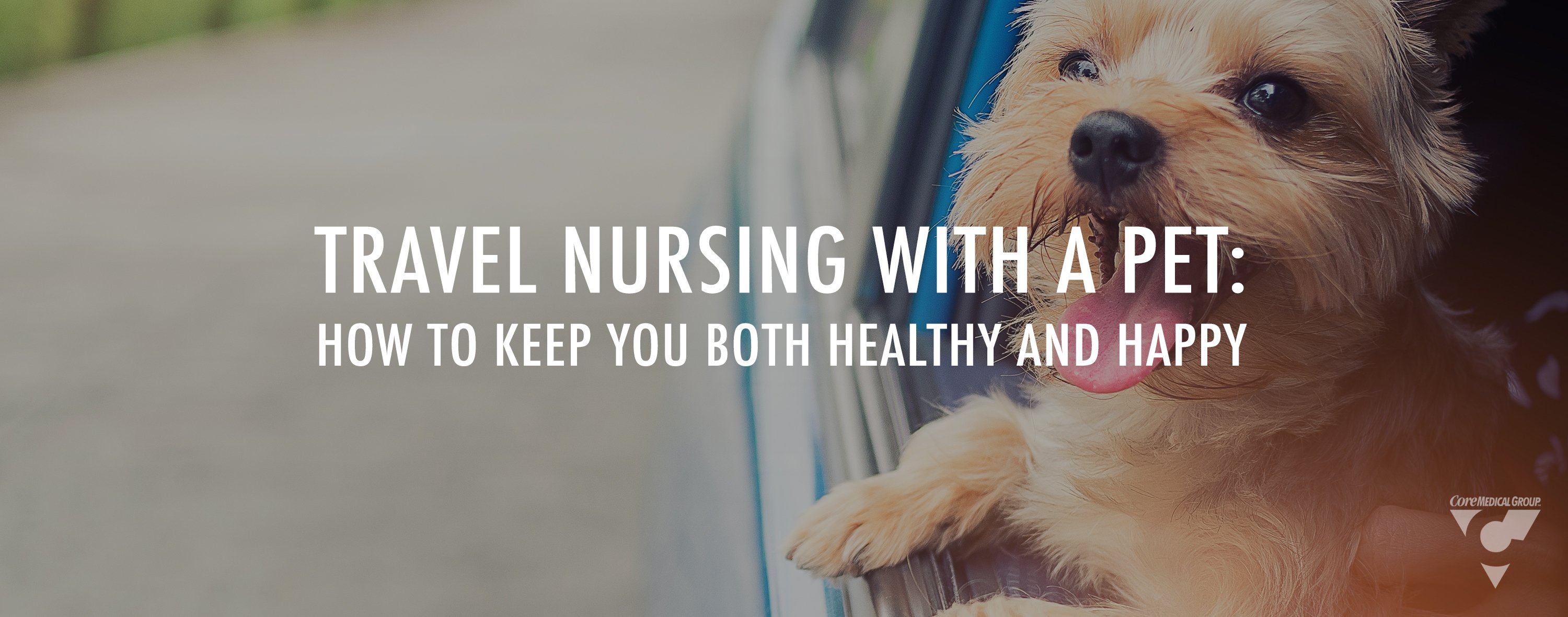 Travel nursing with a pet travel nursing with a dog