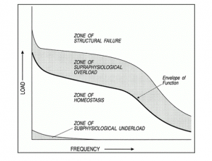 tissue-homeostasis-2