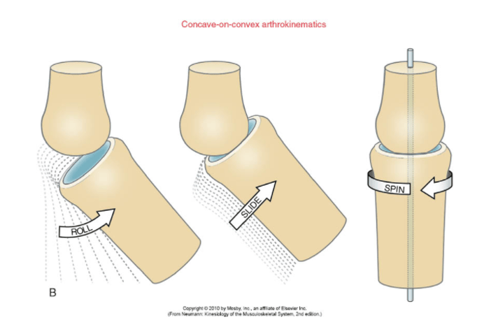 concave on convex rule