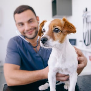 Veterinarian-Steadying-Puppy